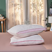 Pillow & Cushion