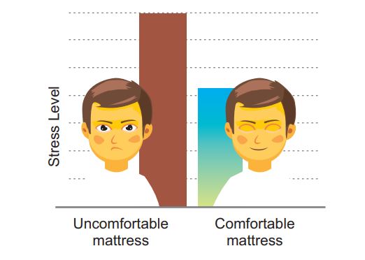 Sleep Science & Health